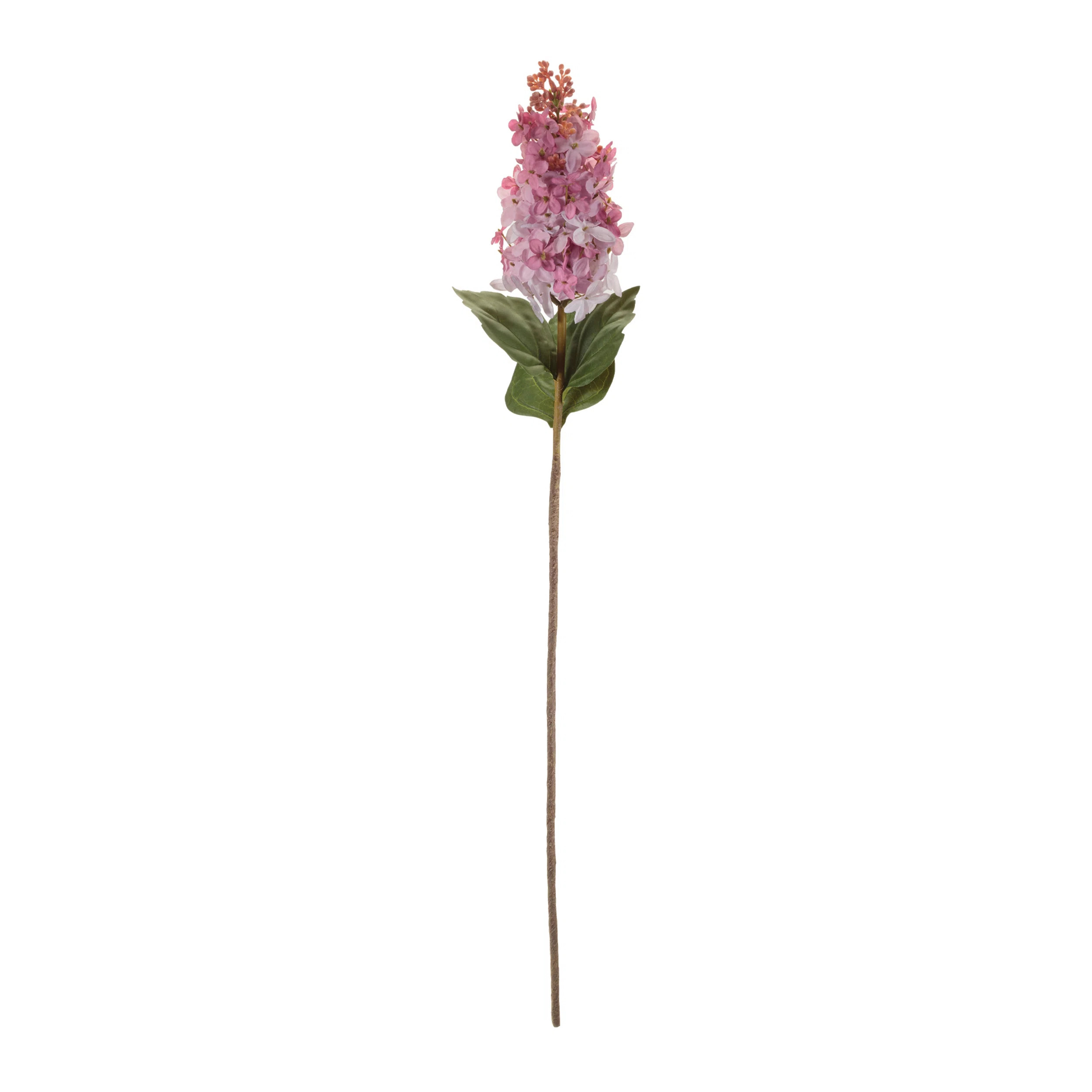 Lilac Floral Stem (Set of 6) | Wayfair North America