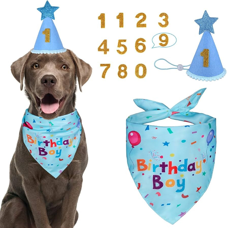Dog Birthday Party Supplies, Dog Birthday Bandana Set, Dog Boy Girl Birthday Party Hat with Numbe... | Amazon (US)