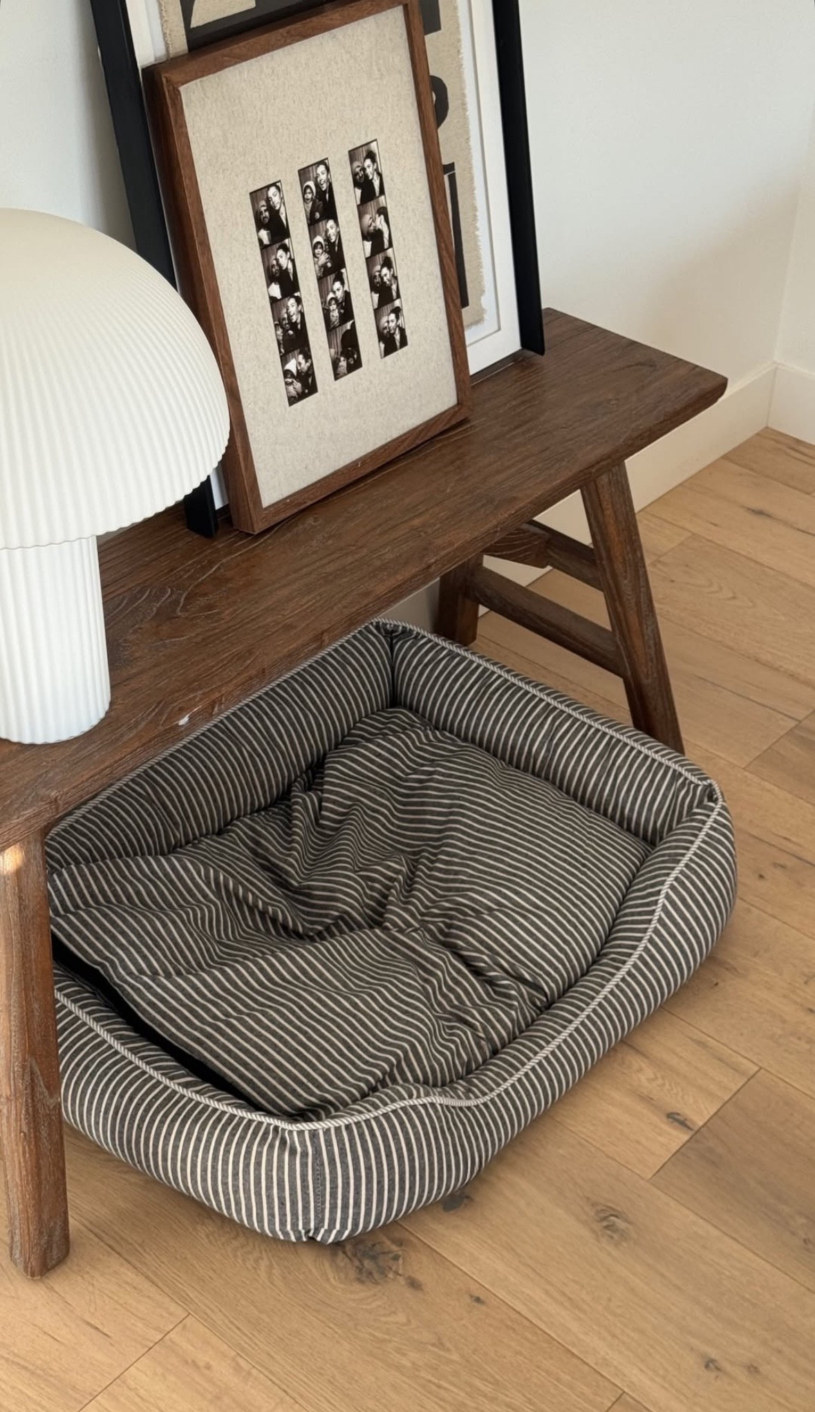 Panier pour Babouche 🐾

Publicité  

#LTKautumn #LTKpets #LTKfamily