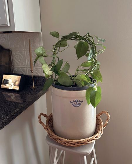The cutest indoor plant hack! Love the trellis idea to keep kids + toddlers + animals away! Toddler hack + toddler find  + baby finds + Etsy finds + indoor plant ideas #LTKxAnthro

#LTKhome #LTKFind