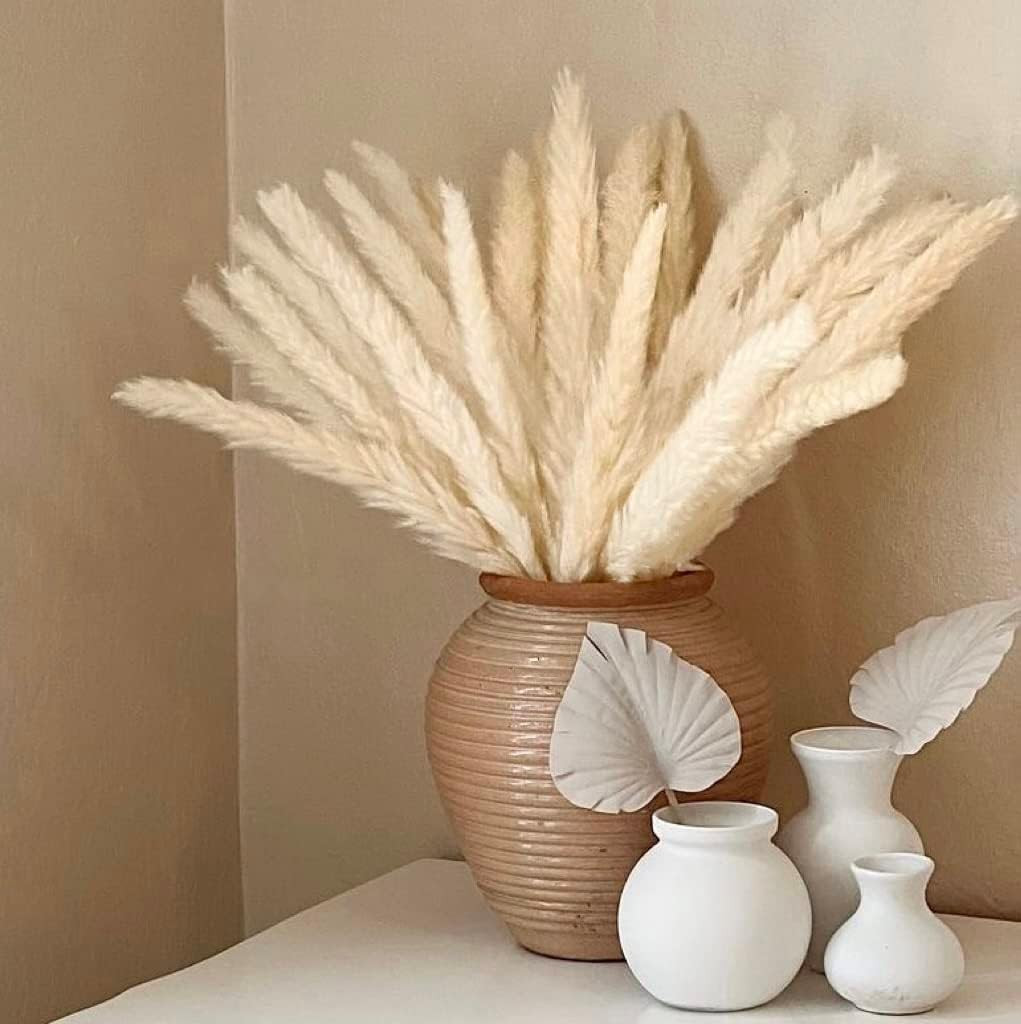 Florair Dried Pampas Grass Decor, 30Pcs White Pompous Boho Home Decor Mini Pampass, Short Pompas ... | Amazon (US)