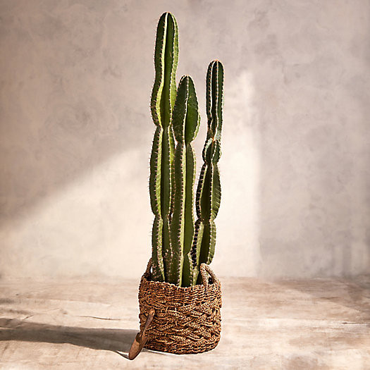 Woven Braided Handled Planter, 16" | Terrain