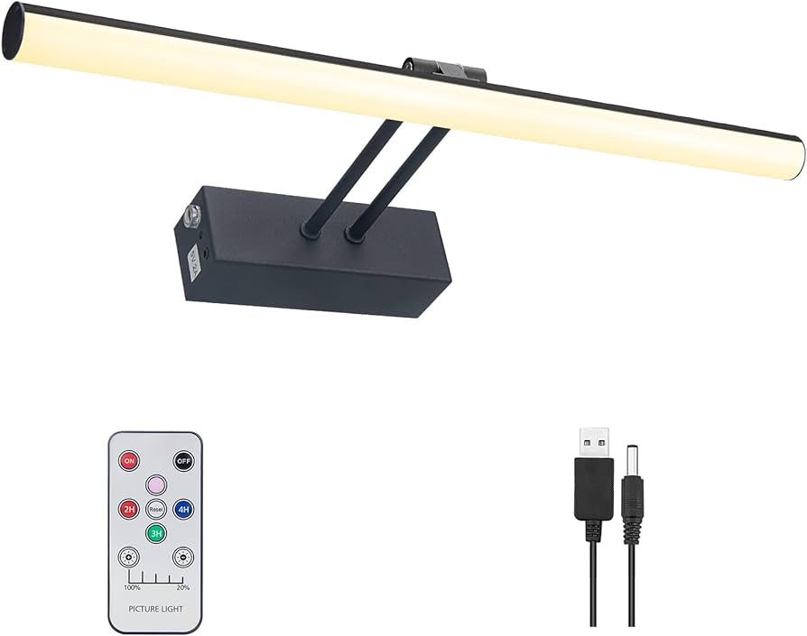 Battery Picture Lights,Rechargeable Painting Light with Dimmable and Timer,16" Metal Art Lighting... | Amazon (US)