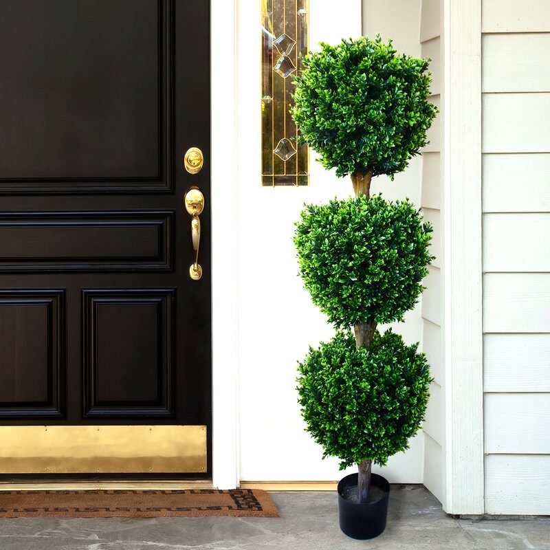 Brooklyn Floor Boxwood Topiary in Pot | Wayfair Professional