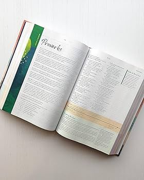 NLT Courage For Life Study Bible for Women (Hardcover, Filament Enabled) | Amazon (US)