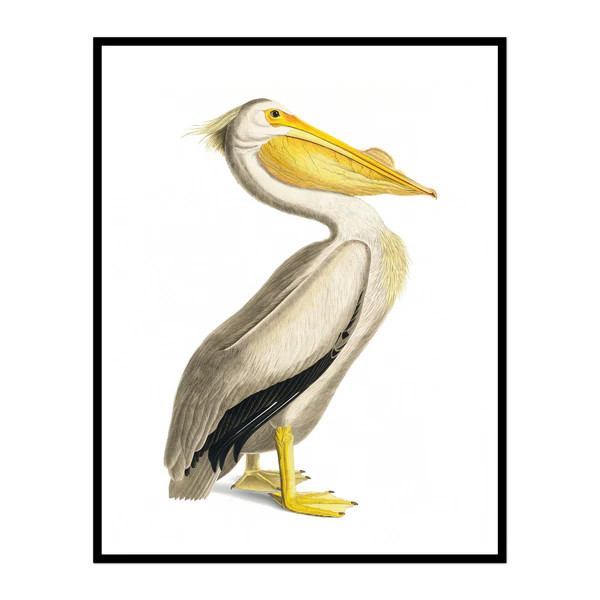 Vintage Royal Pelican | Urban Garden Prints