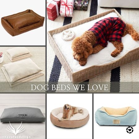 Give your four legged friend a stylish and comfortable bed - here are our favorite dog beds! Dog beds don’t need to be unsightly - choose a stylish one that fits in with your home decor  

#LTKfamily #LTKfindsunder100 #LTKhome