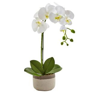 Nearly Natural 19 in. Artificial Phalaenopsis Orchid in Ceramic Pot 4569 - The Home Depot | The Home Depot