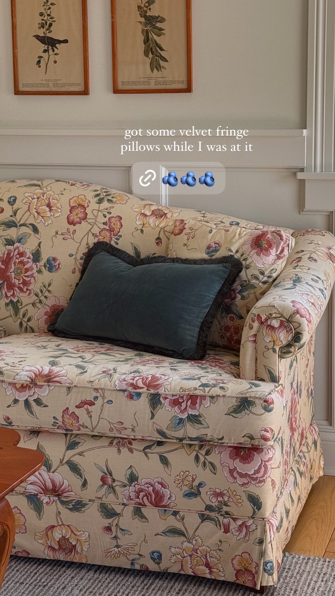 Cute little velvet pillows with fringe! Couldn’t decide between this color and green, but very happy with my choice 🥰

#LTKHome