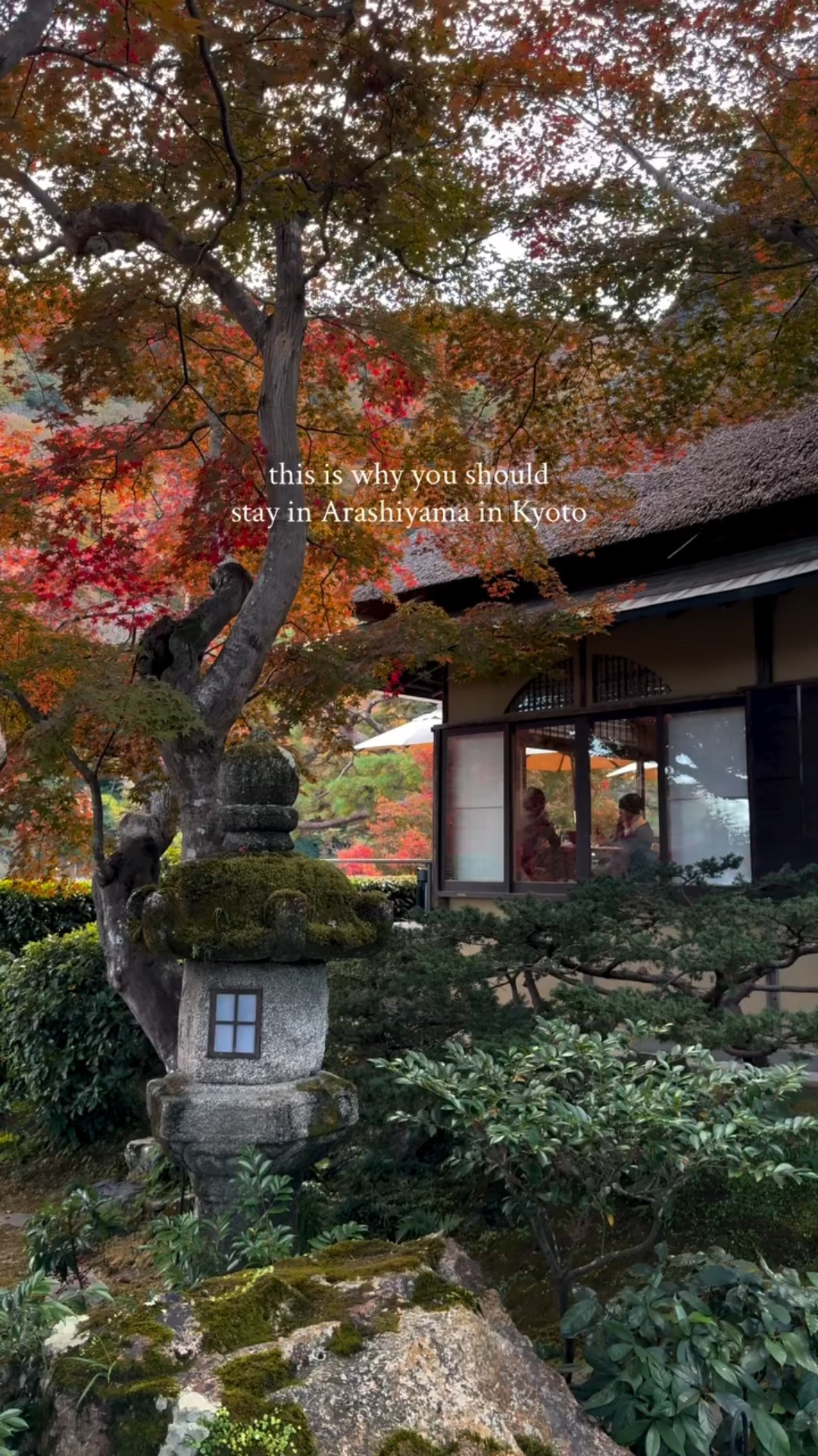 Stay in Arashiyama, Kyoto during autumn and you’ll wake up in the middle of a storybook—crimson maples, golden ginkgo trees, and misty mountains wrapping the whole town in color.

From strolling through the famous Bamboo Grove at sunrise, to exploring the vibrant Togetsukyo Bridge, visiting Tenryu-ji Temple, spotting monkeys at Iwatayama Monkey Park, or taking a scenic Hozu River boat ride, everything beautiful is just steps away. It’s the perfect place to slow down, wander, and let autumn in Kyoto sweep you off your feet.

Comment SHOP below for a link to book my favorite @theluxurycollection hotel in Kyoto located right along the river banks 

#hotels #kyoto #japan #japantravel #japantrip #kyotojapan #kyotohotel #kyototravel #slowtravel #slowhotel #luxuryhotel #hotelphotographer #beautifulhotels #autumnjapan where to stay in Kyoto, Kyoto hotels, autumn Kyoto, fall Kyoto, arashiyama kyoto hotels, luxury travel

#LTKTravel