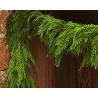 5' Fresh Cedar Garland | Pre-Order Available | Etsy (US)