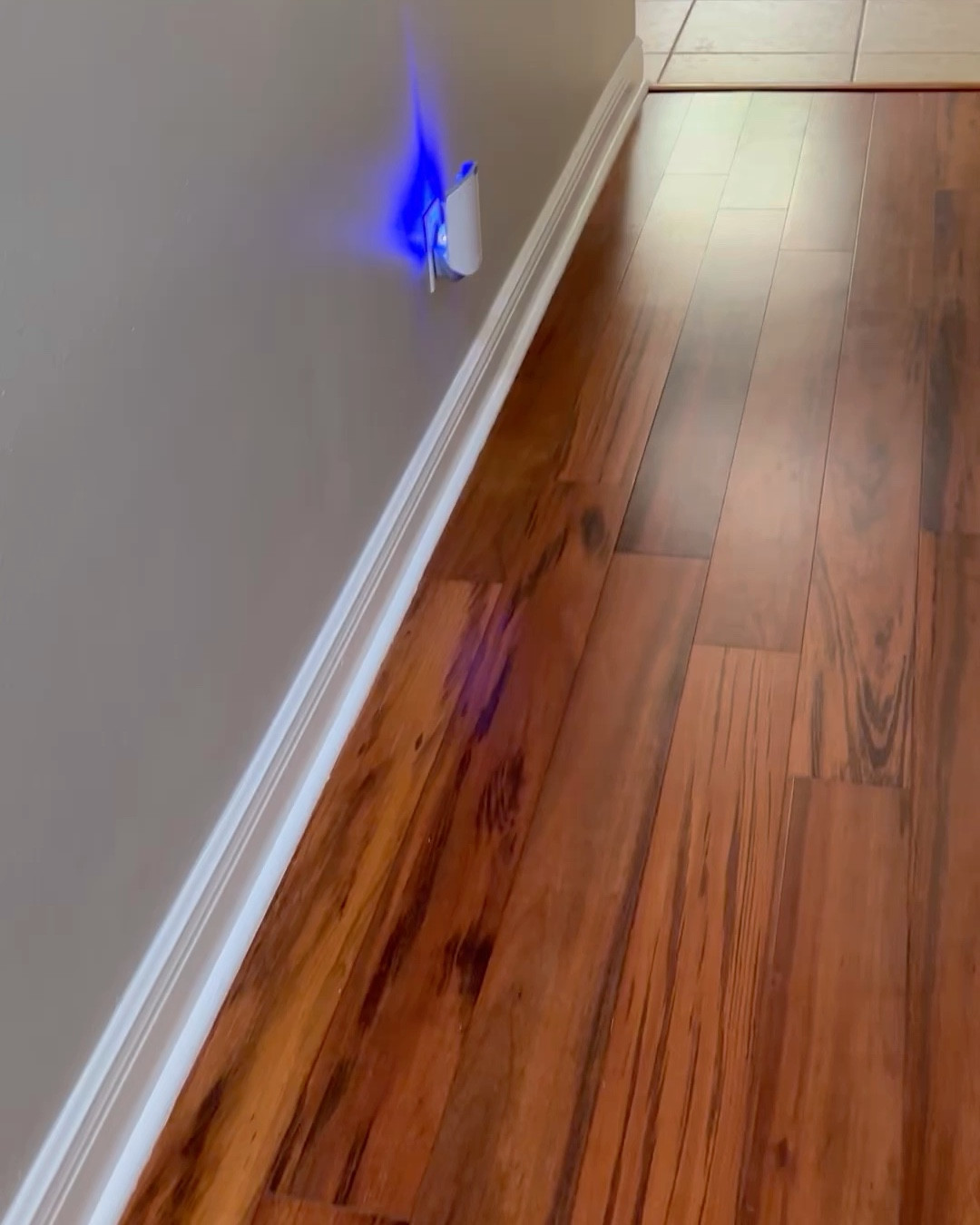 Zevo has been an absolute Godsend for killing the flies that got in when we moved into our new house! I have one plugged in next to our kitchen sink and one in our hallway by the front door. It’s great at catching so many flying bugs. 

#LTKFindsUnder50 #LTKVideo #LTKHome