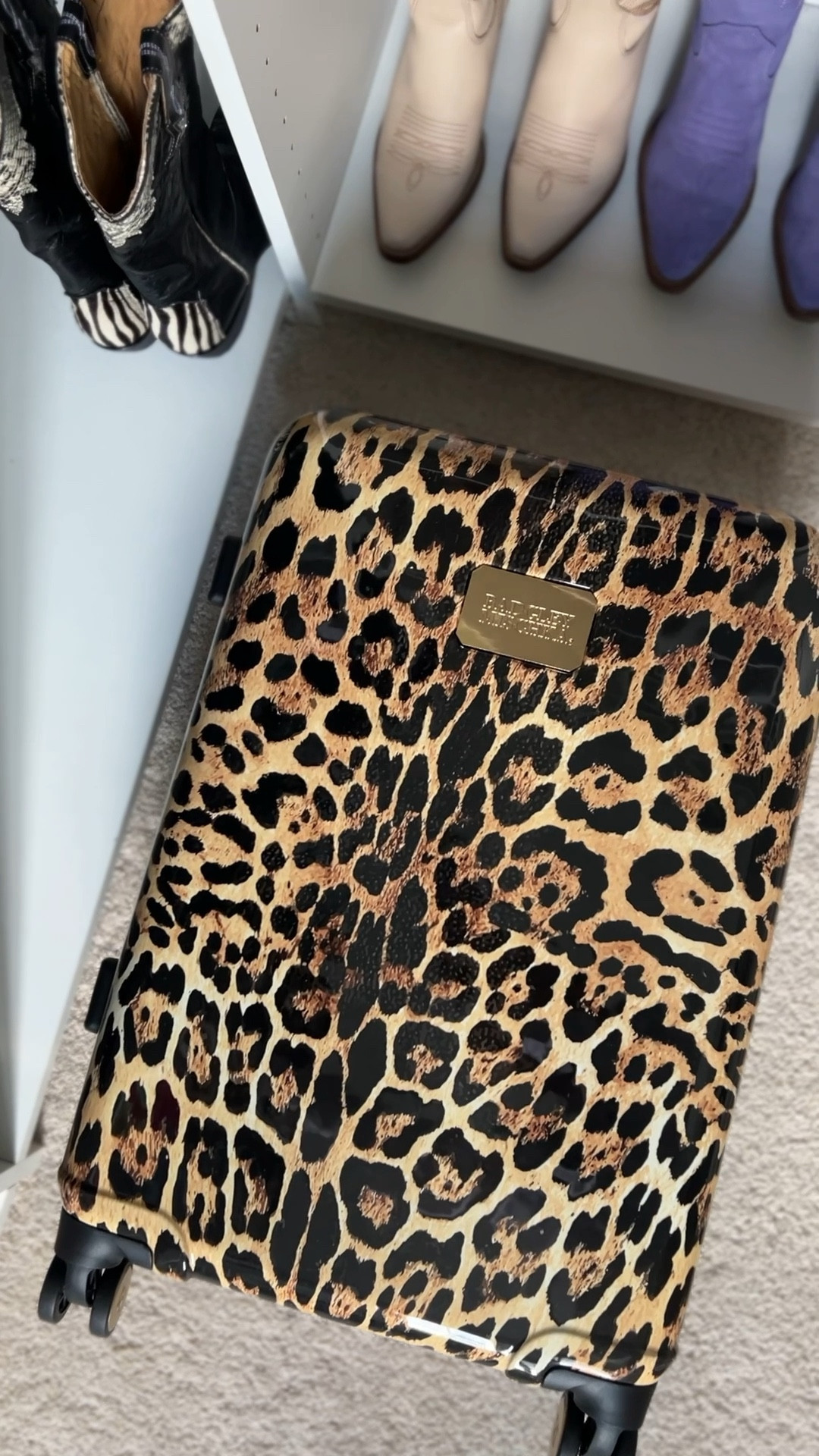 This Leopard suitcase 💛

suitcase | travel | luggage | roadtrip | airplane mode 

#LTKTravel #LTKFindsUnder100 #LTKSaleAlert