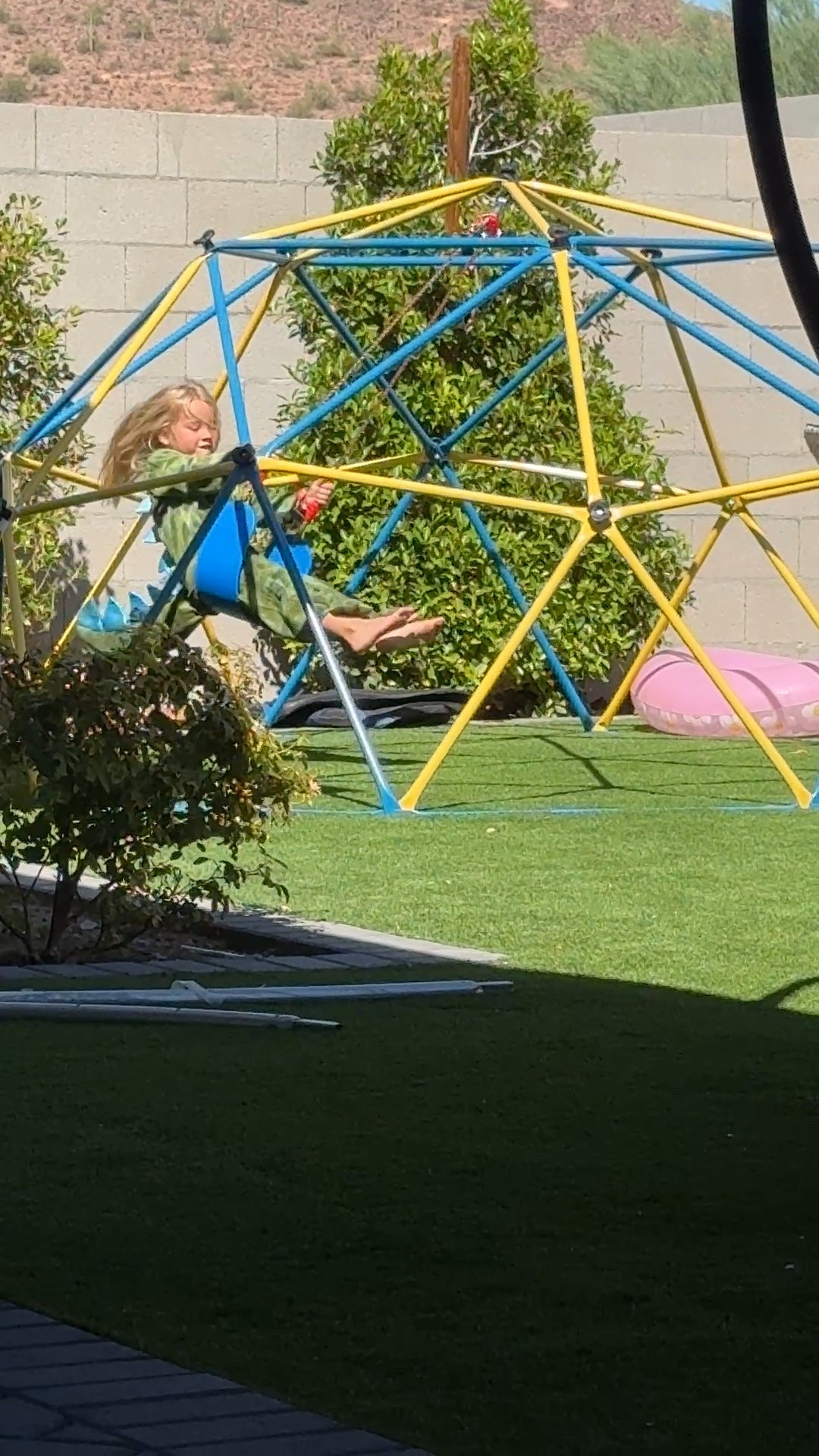 BFCM sale on the kids climbing dome. Made of metal and comes with the swing and the hammock. 

@amazon, #ad, #founditonamazon #winterfavorites2025

#LTKCyberWeek #LTKKids #LTKSaleAlert