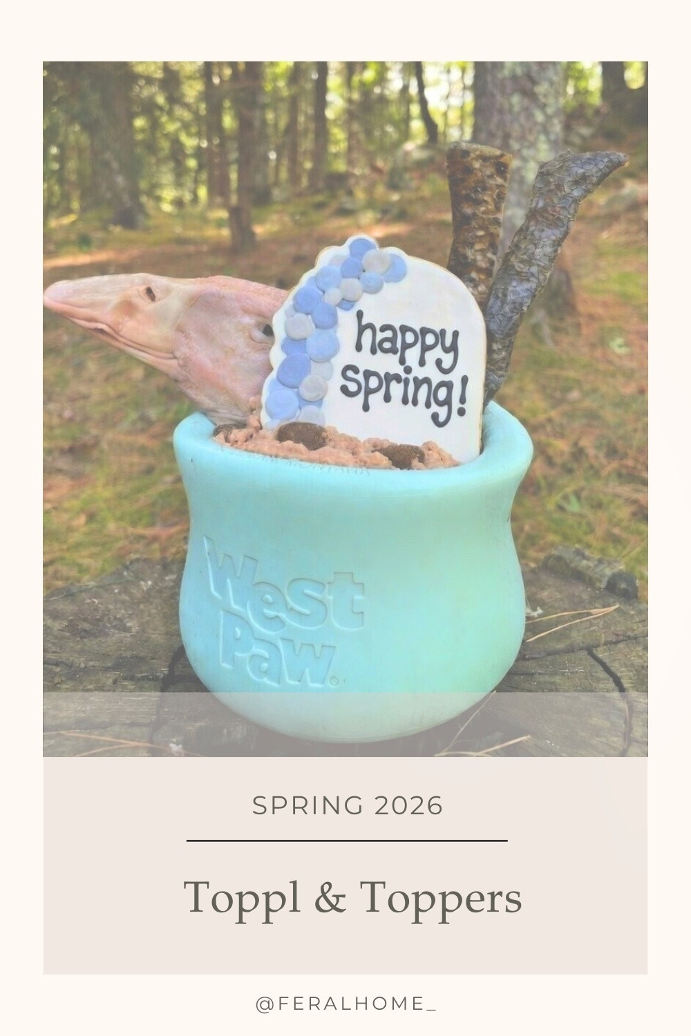 Toppls, toppers, treats, & all the spring themed goodies. Just in time to prep for Easter… 🐣 #LTKPets

#LTKdayinmylife #LTKSpringSale