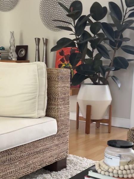 This planter is one of my best sellers because, well, look at it in all its glory. 😍 This is my living room and that’s a glorious rubber tree simply thriving and doing its thing 😎(planter size: large)

#LTKstyletip #LTKhome #LTKSeasonal