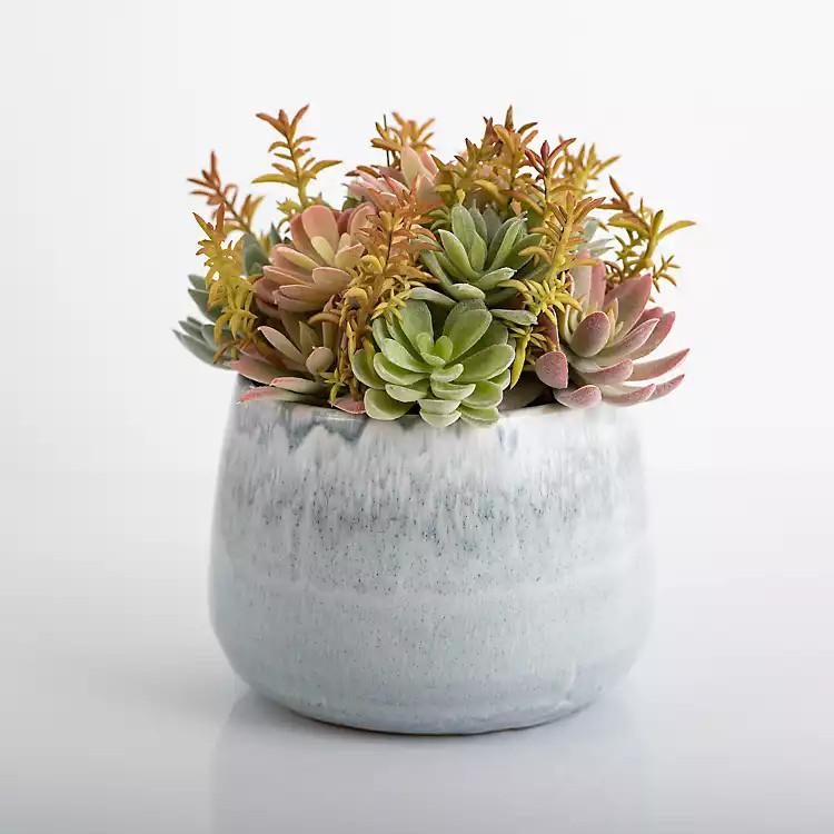 New! Succulent Arrangement in Blue Stone Planter | Kirkland's Home