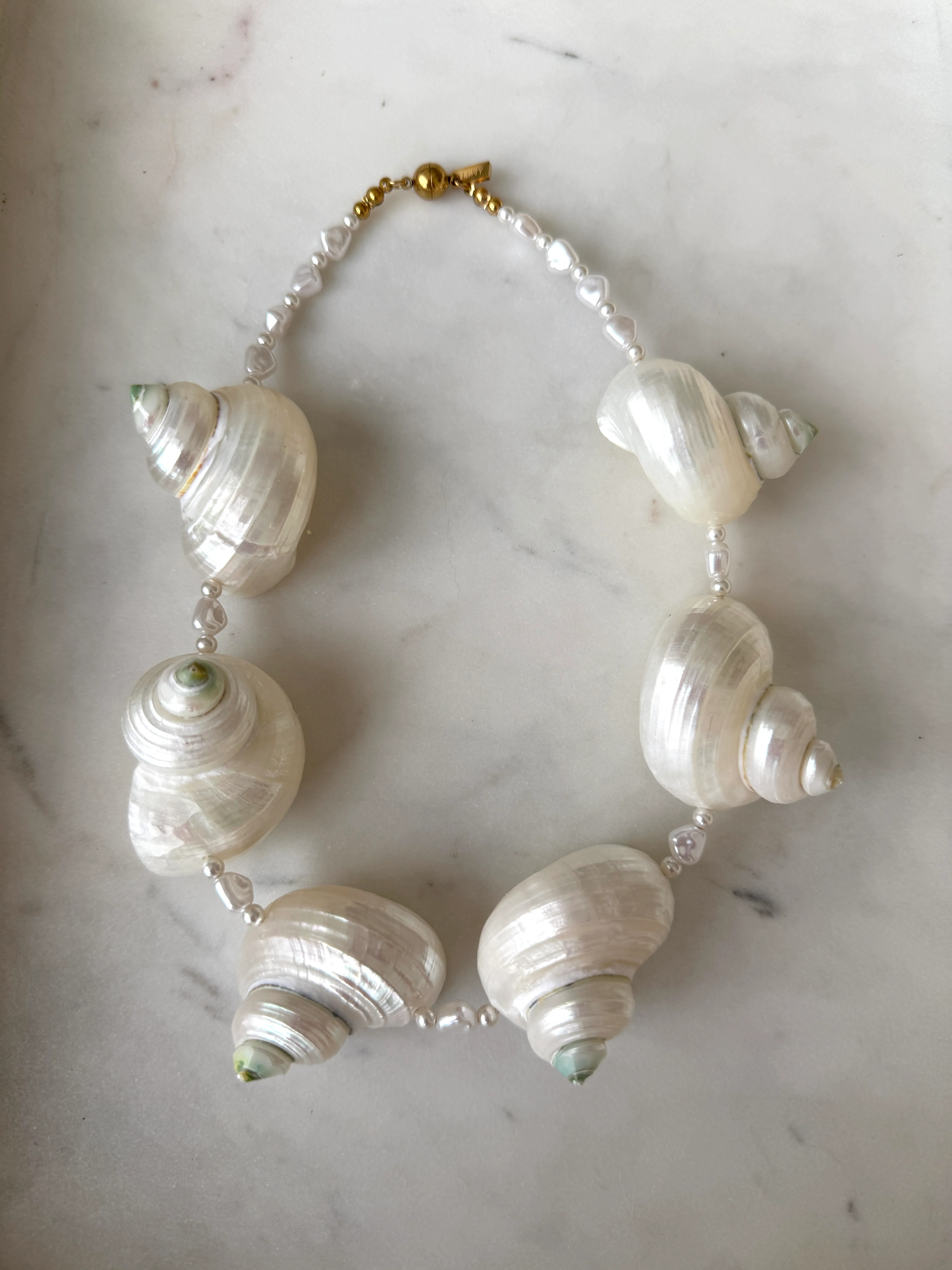 Multi Seashell Choker Necklace | La Lumiere NY