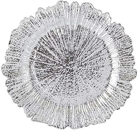 FANTASTIC :) Round 13 Inch Plastic Charger Plates with Eletroplating Finish (6, Reef Silver) | Amazon (US)