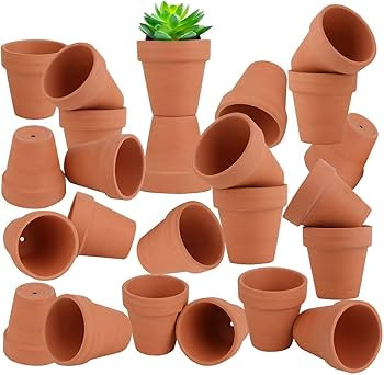 24pcs Small Mini Clay Pots, 2.5'' Terracotta Pot Clay Ceramic Pottery Planter, Cactus Flower Terr... | Amazon (US)