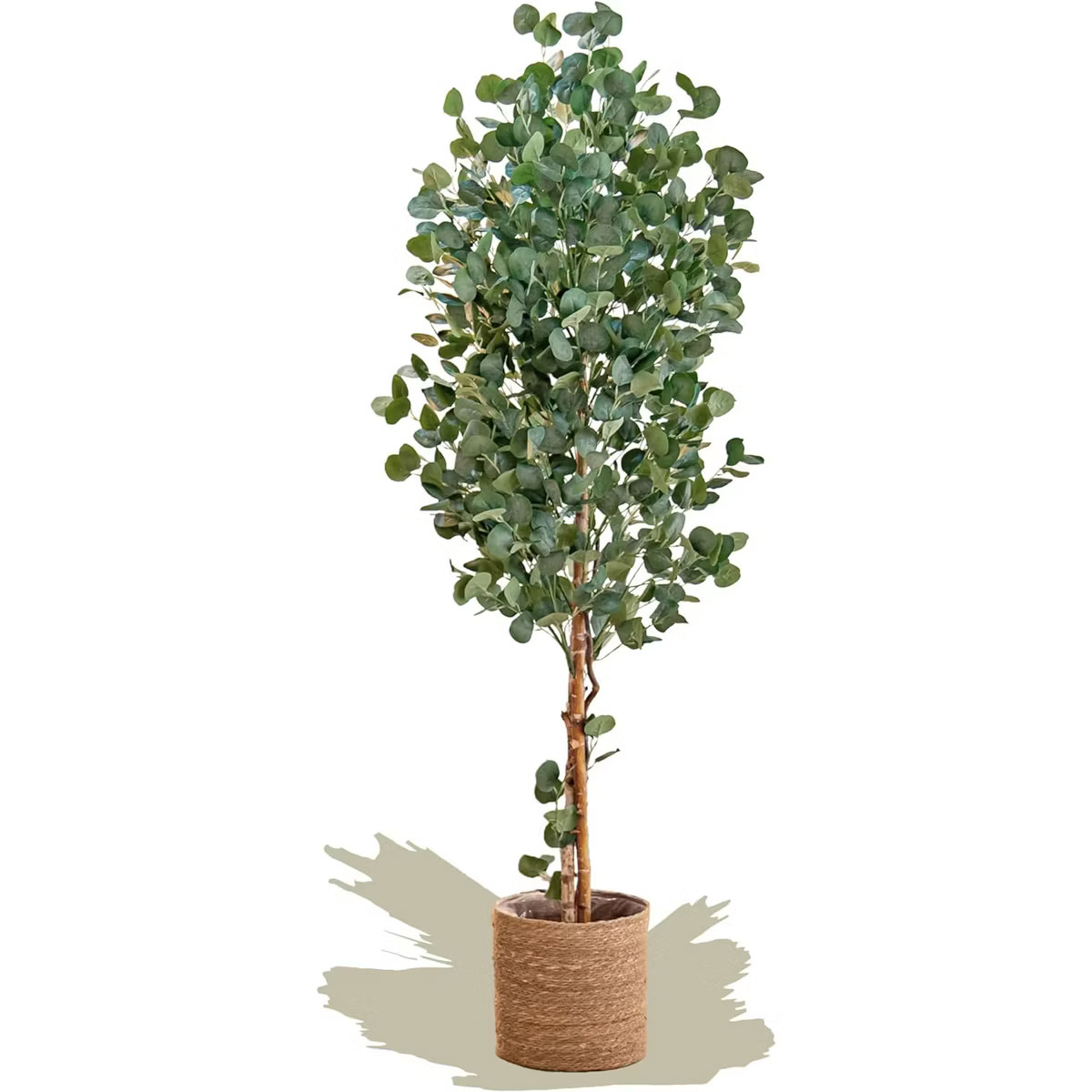 Maia Shop Artificial Eucalyptus Tree 6 Foot Tall, Fake Tree with Natural Wood Trunk, Ideal for Ho... | Target