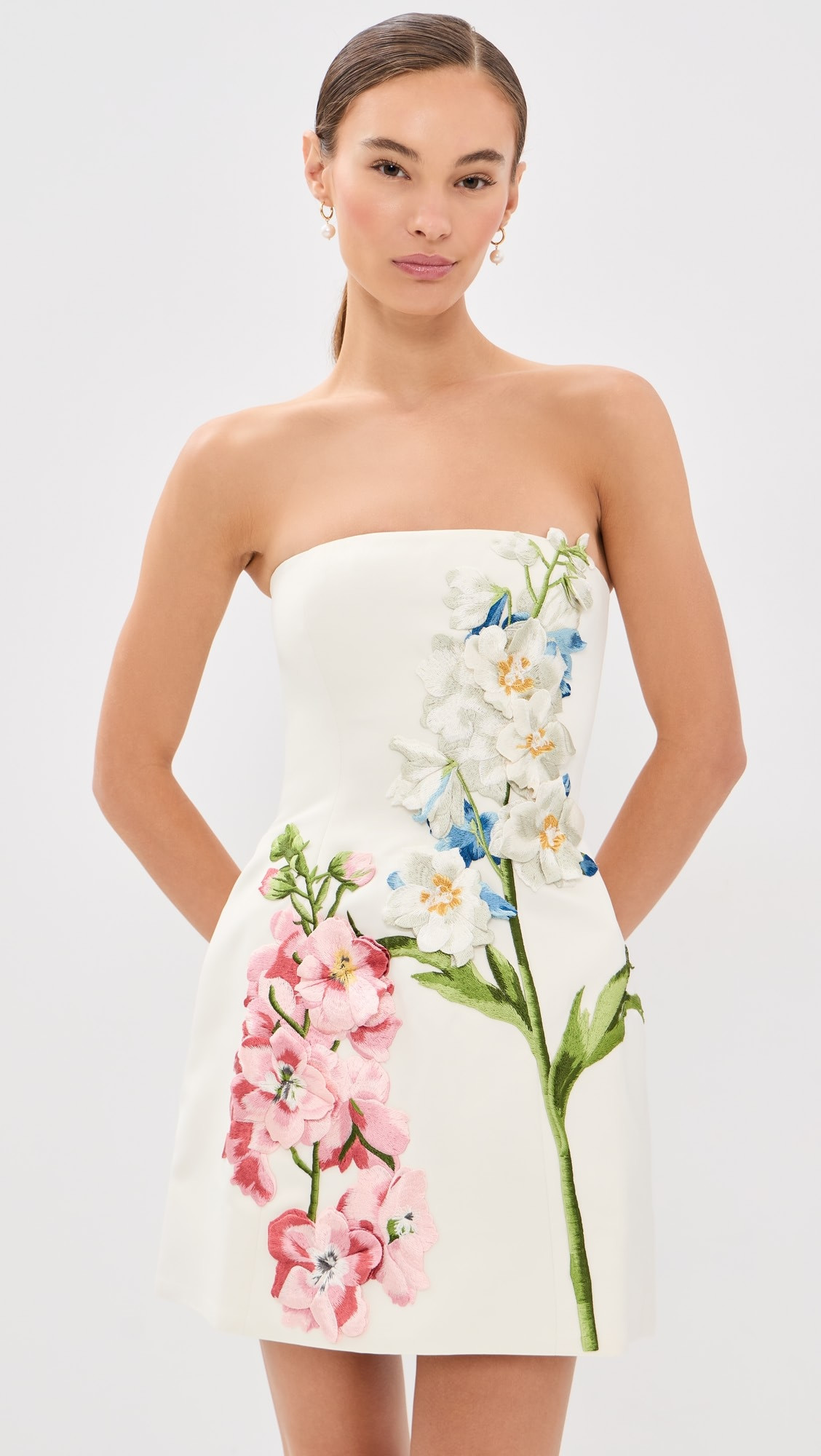 Roselle Embroidered Bustier Mini Dress | Shopbop