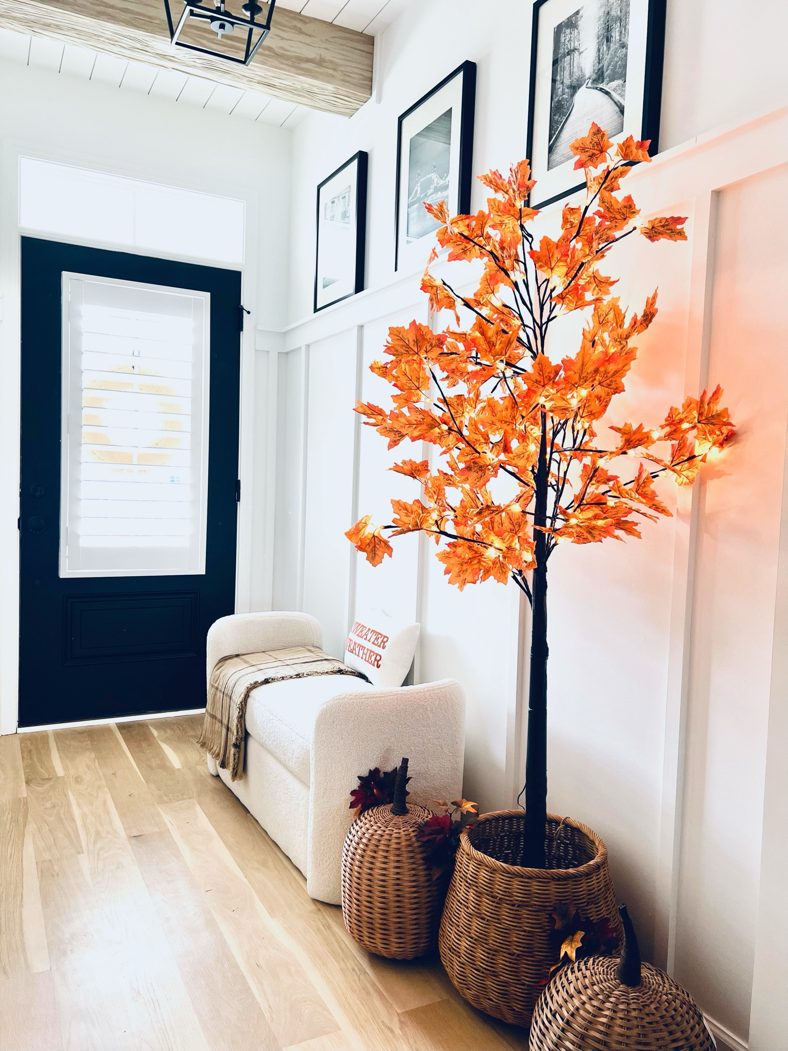 Nothing says cozy more than a lighted fall maple tree. I absolutely love this inexpensive Amazon find this year.   

#LTKFindsUnder100 #LTKFallSale #LTKHome