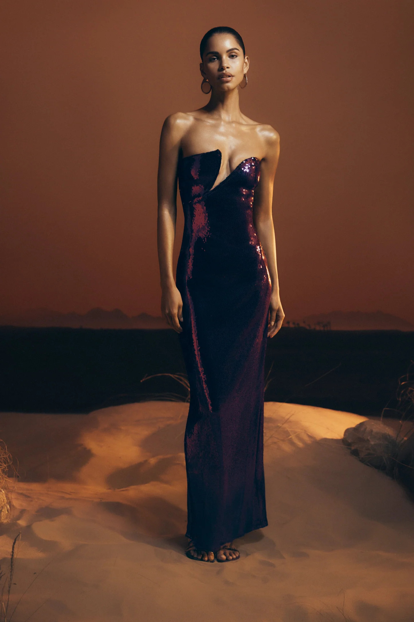 Winston Strapless Sequin Maxi Dress - Plum | MESHKI US