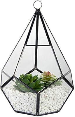 Glass Geometric Terrarium Container, ZOUTOG 6.7'' Air Plant Holder Window Sill Decor Shelves, Suc... | Amazon (US)