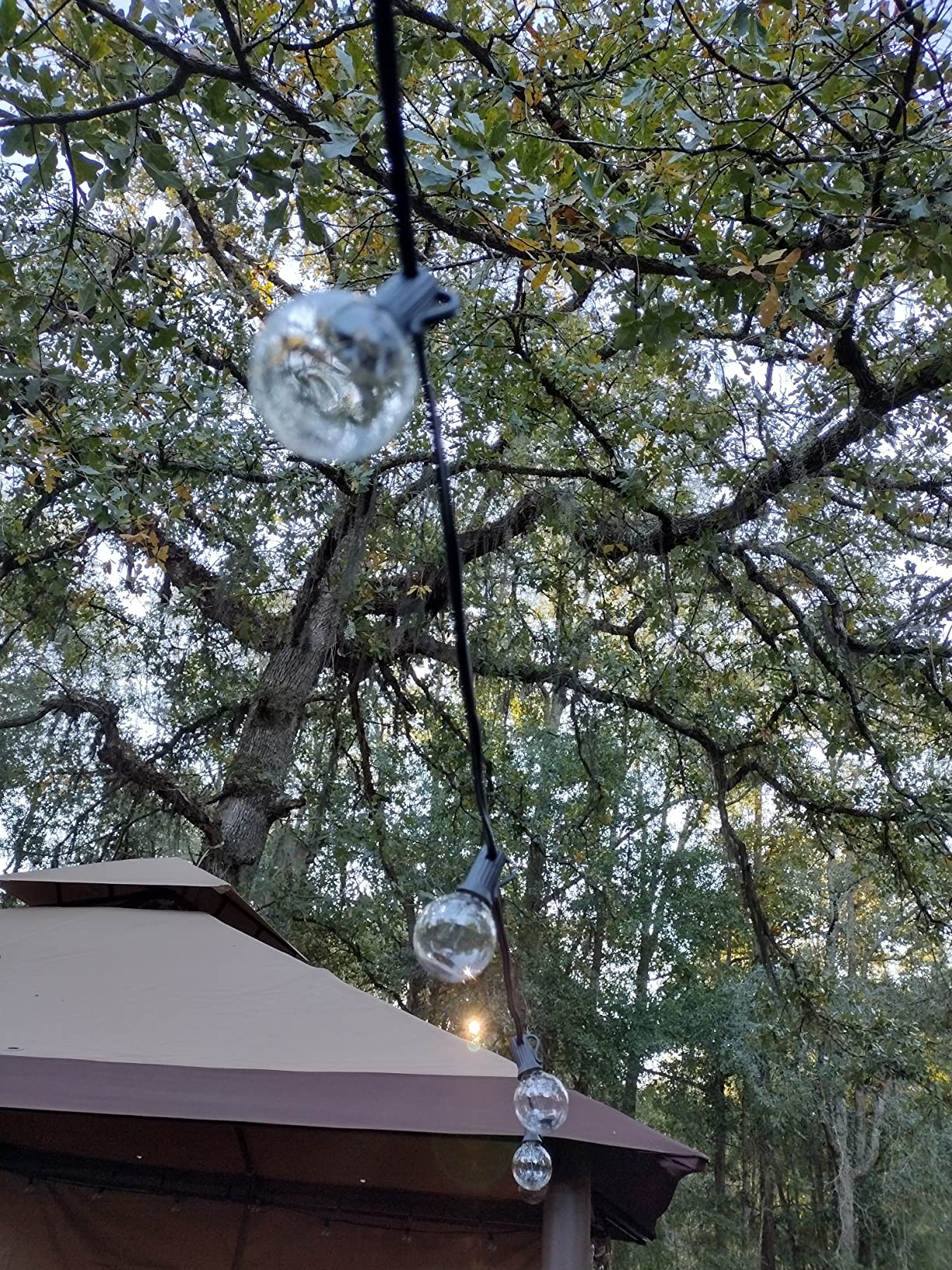 Brightown Outdoor String Lights - Globe Patio Lights 30 Ft with 30 G40 Shatterproof Bulbs, Waterp... | Amazon (US)