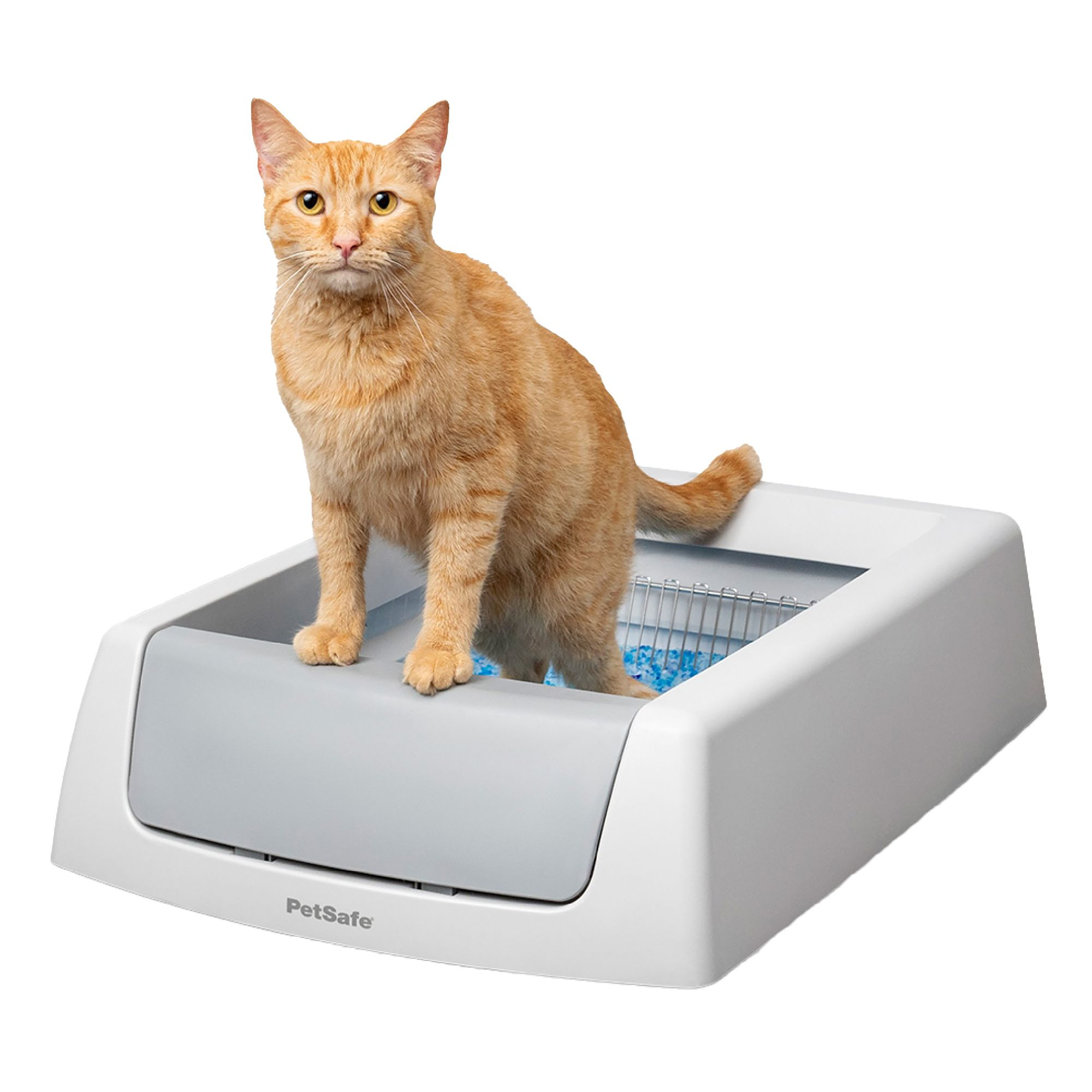 PetSafe® ScoopFree® Crystal Classic Self-Cleaning Litter Box | PetSmart