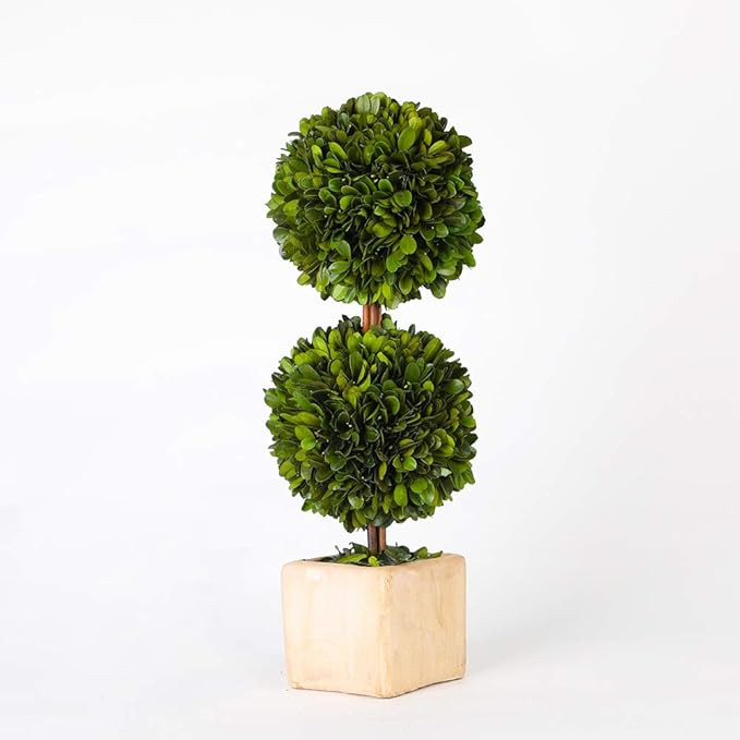 BoxwoodWorld Potted Preserved Boxwood Topiary Green Plant for Home Decor Double Ball Shape 12 inc... | Amazon (US)