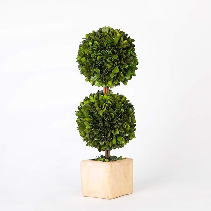 BoxwoodWorld Potted Preserved Boxwood Topiary Green Plant for Home Decor Double Ball Shape 12 inc... | Amazon (US)
