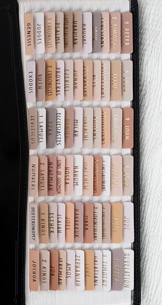 UPAFEXXI-Laminated Bible Tabs (Gold Foil Embossed Lettering), Bible Tabs for Women and Men, Repos... | Amazon (US)