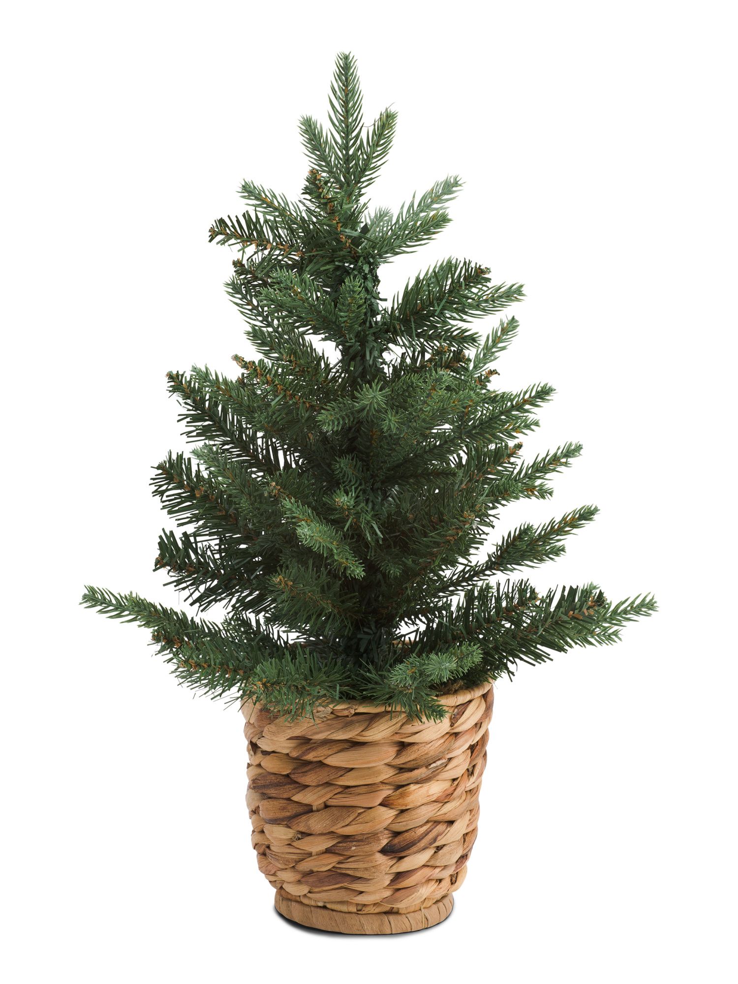 17in Tree In Woven Footed Basket | Plants & Planters | Marshalls | Marshalls