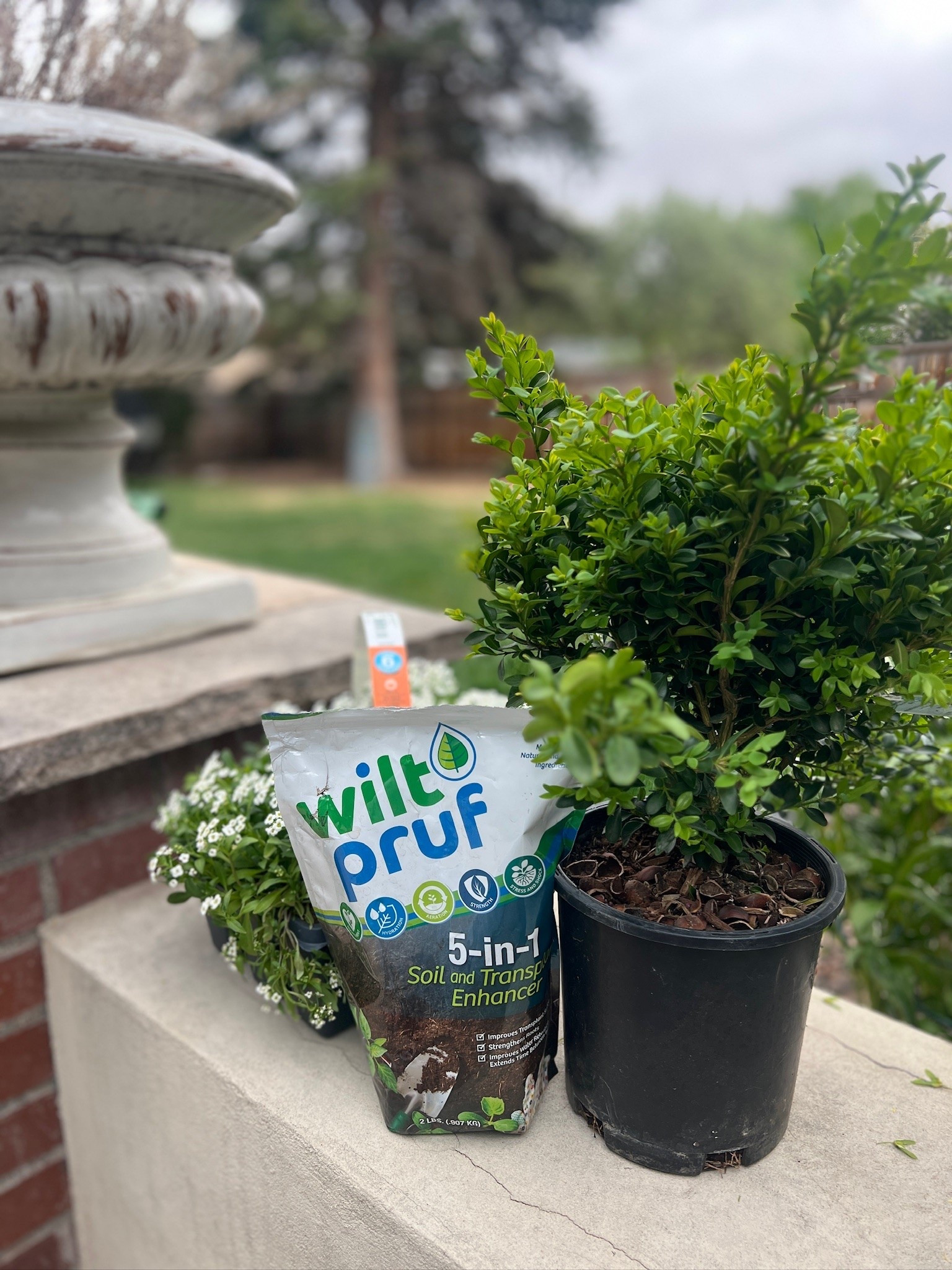 Have you ever used Wilt Pruf before? 👀 It’s a soil enhancer that helps improve water retention and supports stronger, healthier plant growth in the garden!

#LTKSaleAlert #LTKSeasonal #LTKHome
