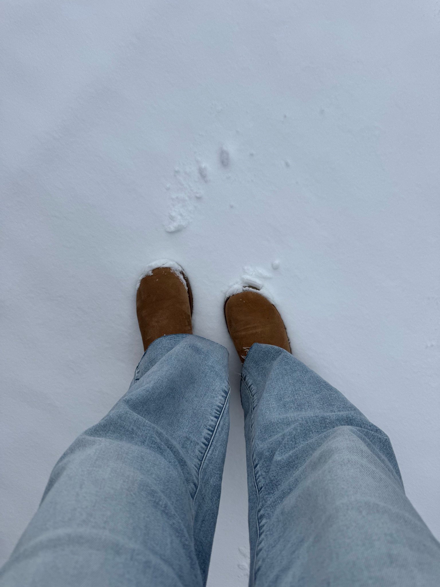 A winter wonderland ❄️