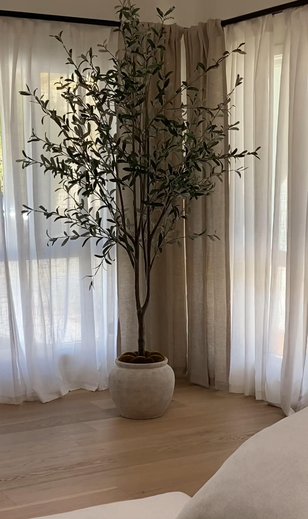 Best faux olive tree! 

#LTKhome