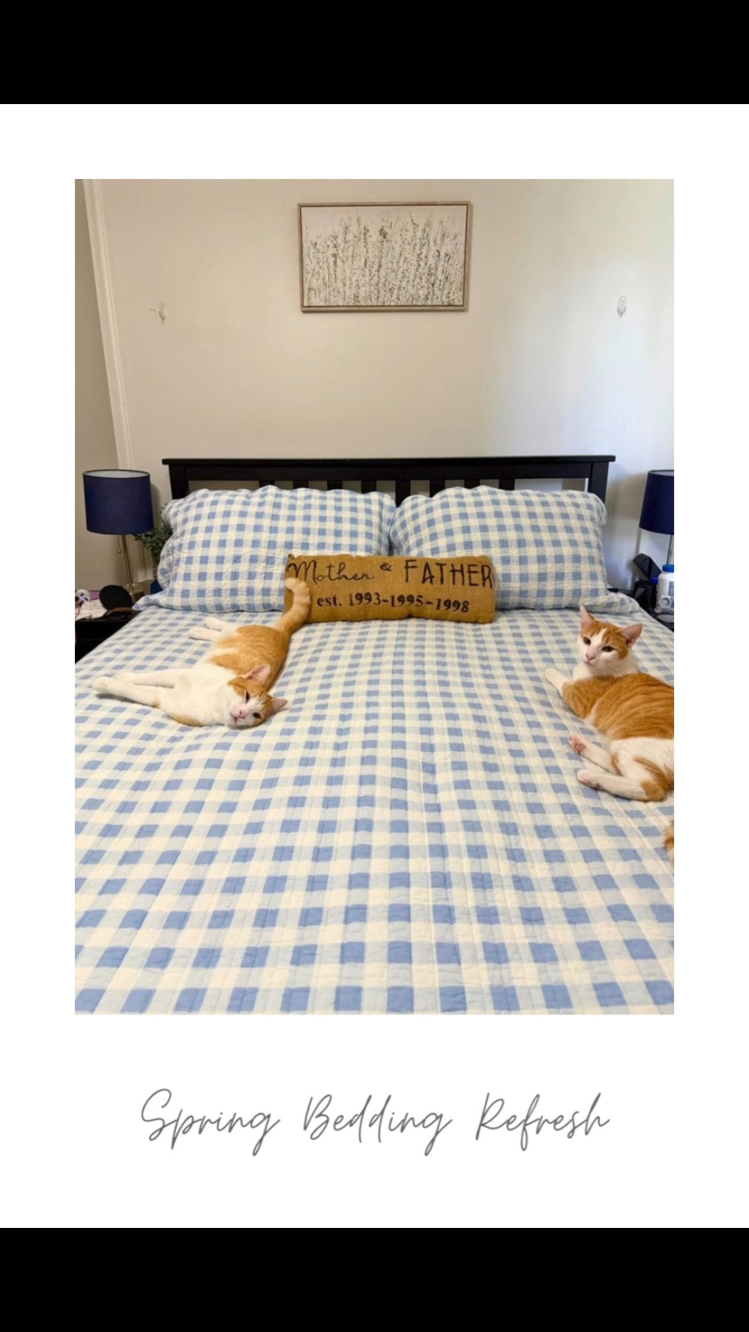 Spring bedding refresh time! Apparently the kitties love the gingham bedding as much as we do. It’s light , soft and breathable. Perfect for warm nights. I love the scalloped edges all over. I had to give up on the finishing touches today. If you have cats and try to make up a bed you understand.

#springbedding #gingham

#LTKHome #LTKSeasonal