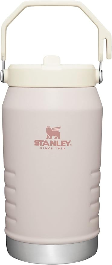 Stanley IceFlow Stainless Steel Tumbler with Straw, Vacuum Insulated Water Bottle for Home, Offic... | Amazon (US)