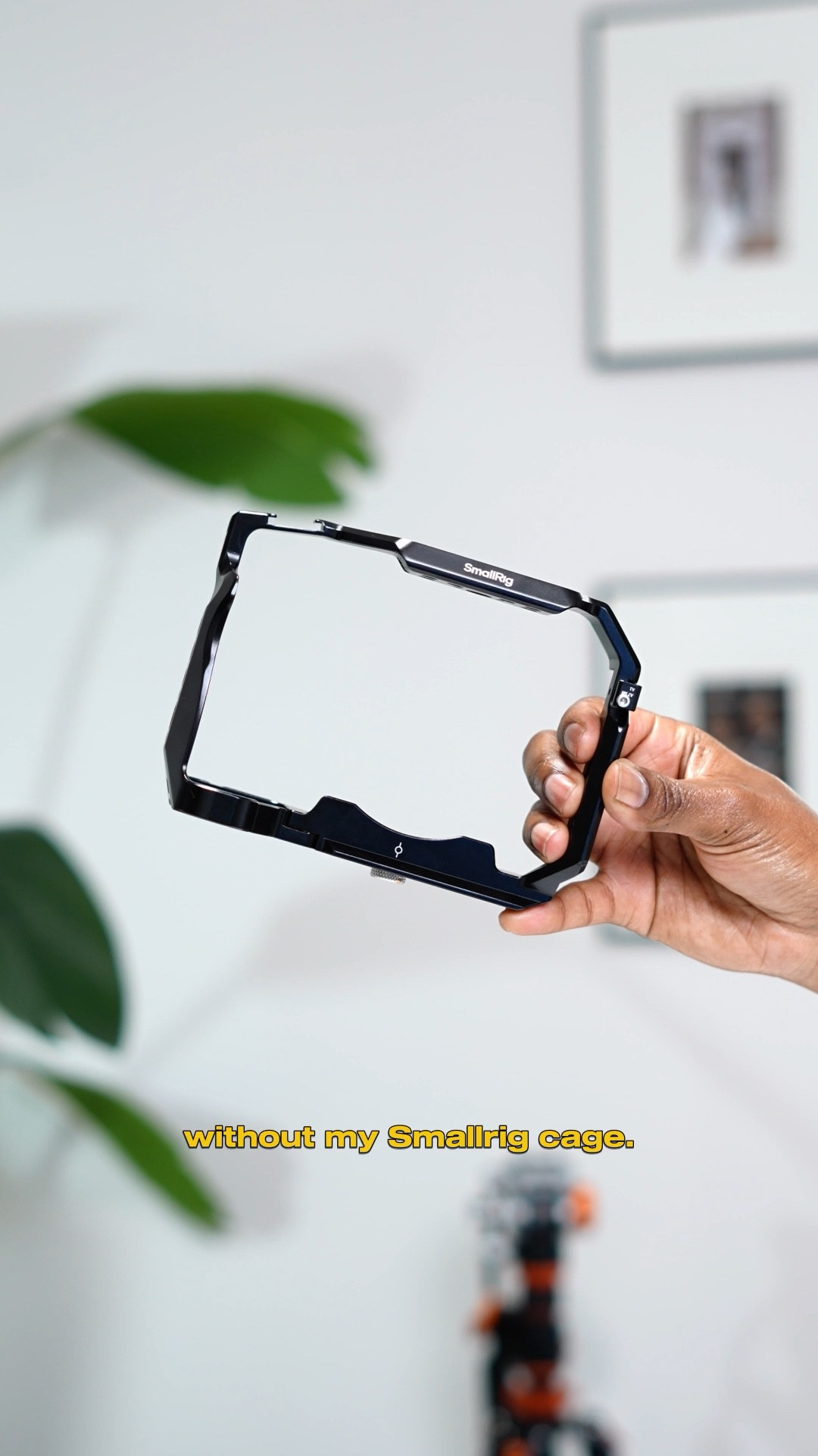 Protection + Convenience = my kind of setup ✔️

SmallRig cages for my Sony a7CII + Sony a7IV 

#LTKFindsUnder100