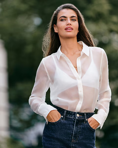 Sheer Crepe Portofino Shirt | Express