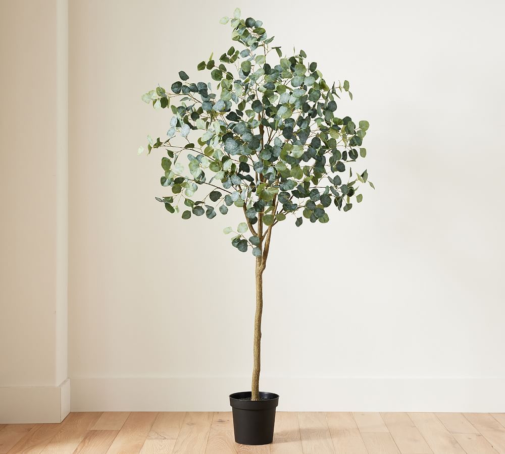 Faux Silver Dollar Eucalyptus Tree | Pottery Barn (US)