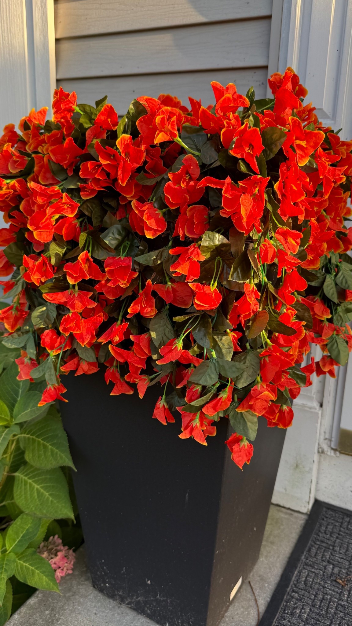 The perfect faux flower (this is one set) 


#LTKFindsUnder50 #LTKU #LTKHome