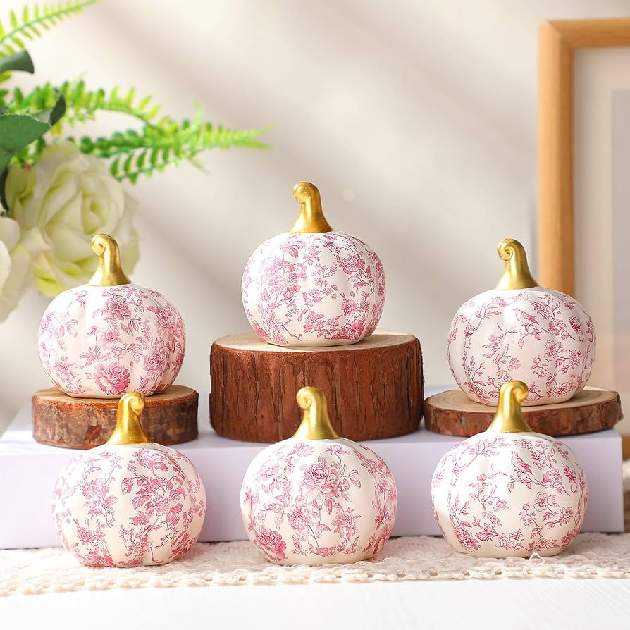 DoubleFill 6 Pcs Pink Fall Decor Ceramic Pumpkins Farmhouse Table Decor | Amazon (US)
