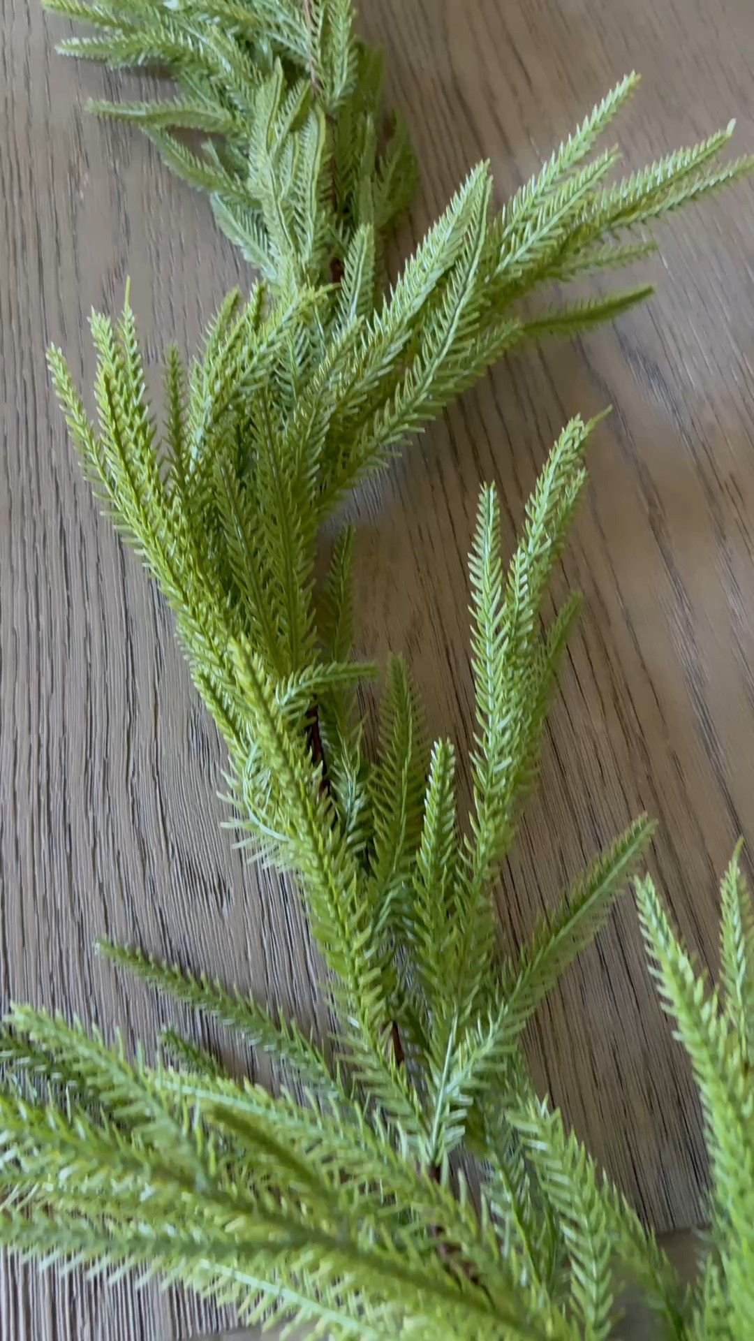 Walmart garland finds & on sale!!


Christmas garland Christmas decor, affordable Christmas decor Christmas decor on sale Christmas garland Norfolk garland field garland 9 foot garland affordable garland Christmas decor Christmas garland home decor for Christmas Christmas decor ideas

#LTKHome #LTKSeasonal #LTKSaleAlert