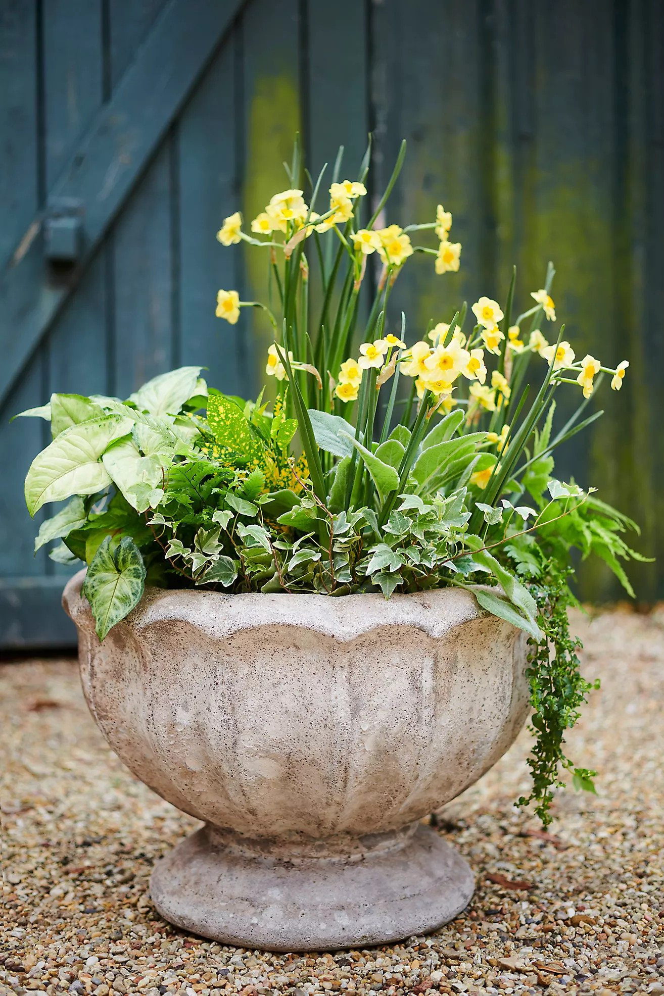 Seashore Urn | Anthropologie (US)