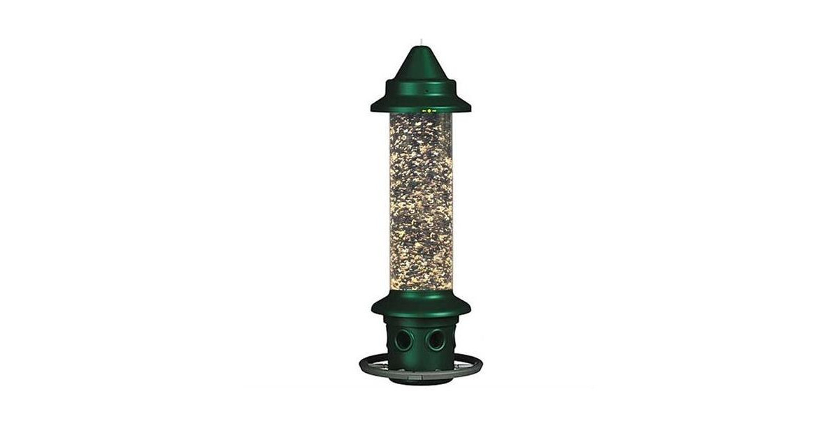 Squirrel-Proof Bird Feeder with Perch Ring for Outdoor Feeding Stations - Green | Macy's