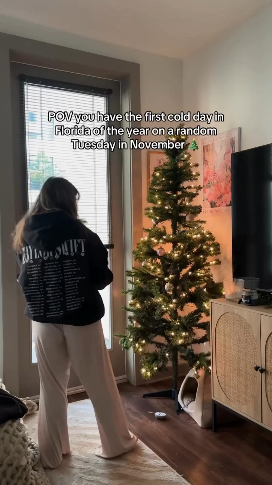 Suki is getting coal for her behavior during the decorating process, do not let her fool you. 6.5 feet Christmas tree from target 