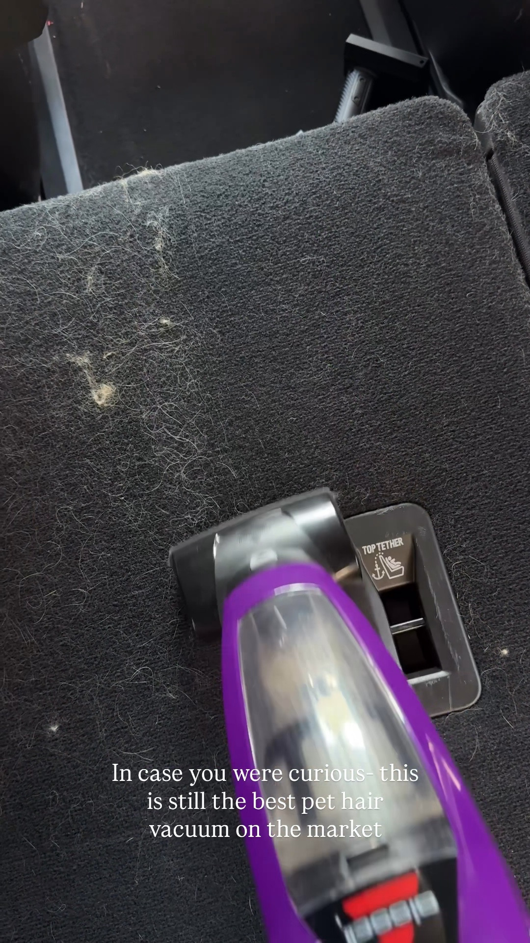 Best handheld vaccum for pet hair ✨

#LTKdayinmylife #LTKHome #LTKgrwm